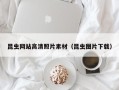 辽宁昆虫网站高清照片素材（昆虫图片下载）