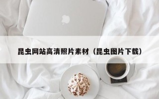 辽宁昆虫网站高清照片素材（昆虫图片下载）